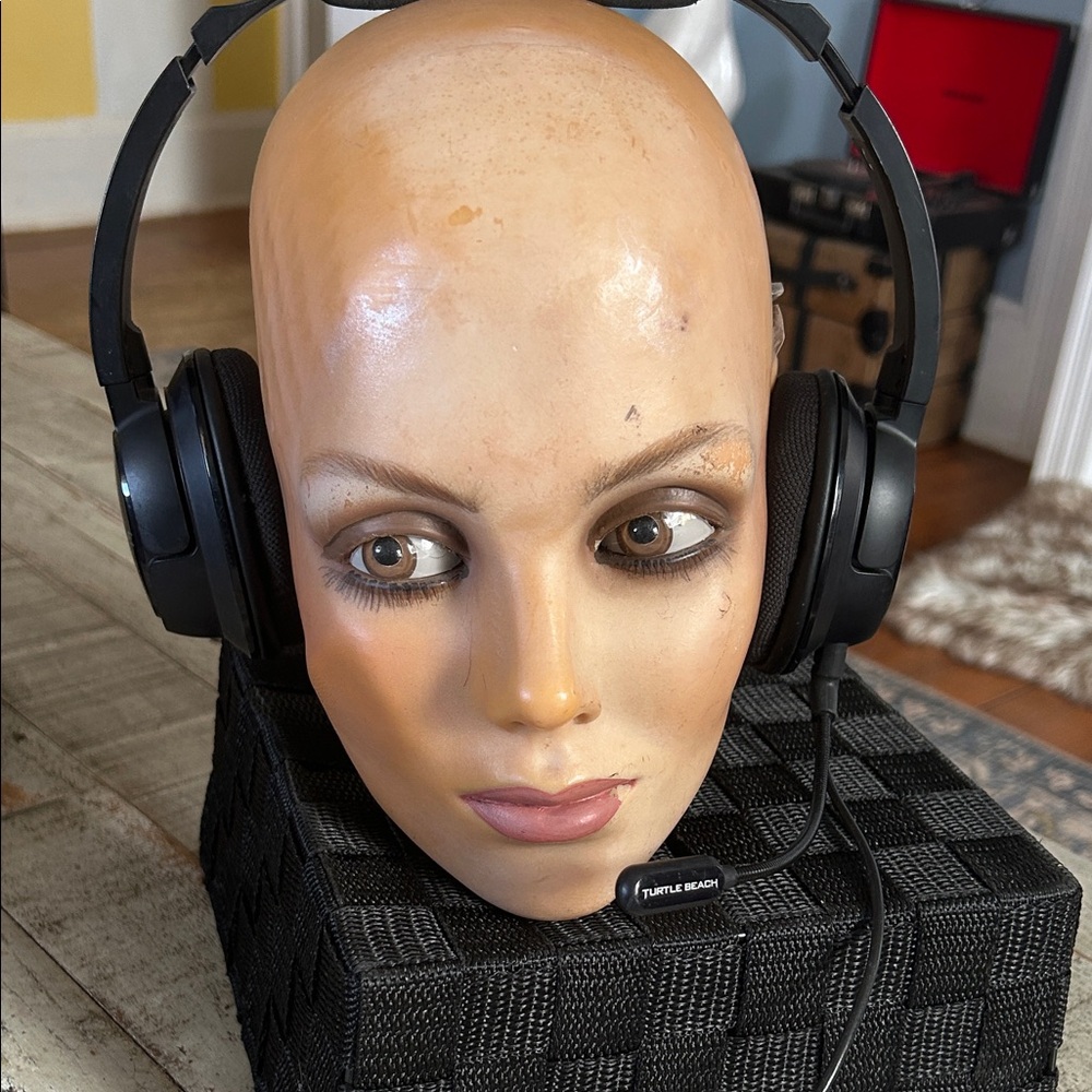 *FREE with any purchase*Turtle Beach Black Over-Ear Headset with Boom Microphone